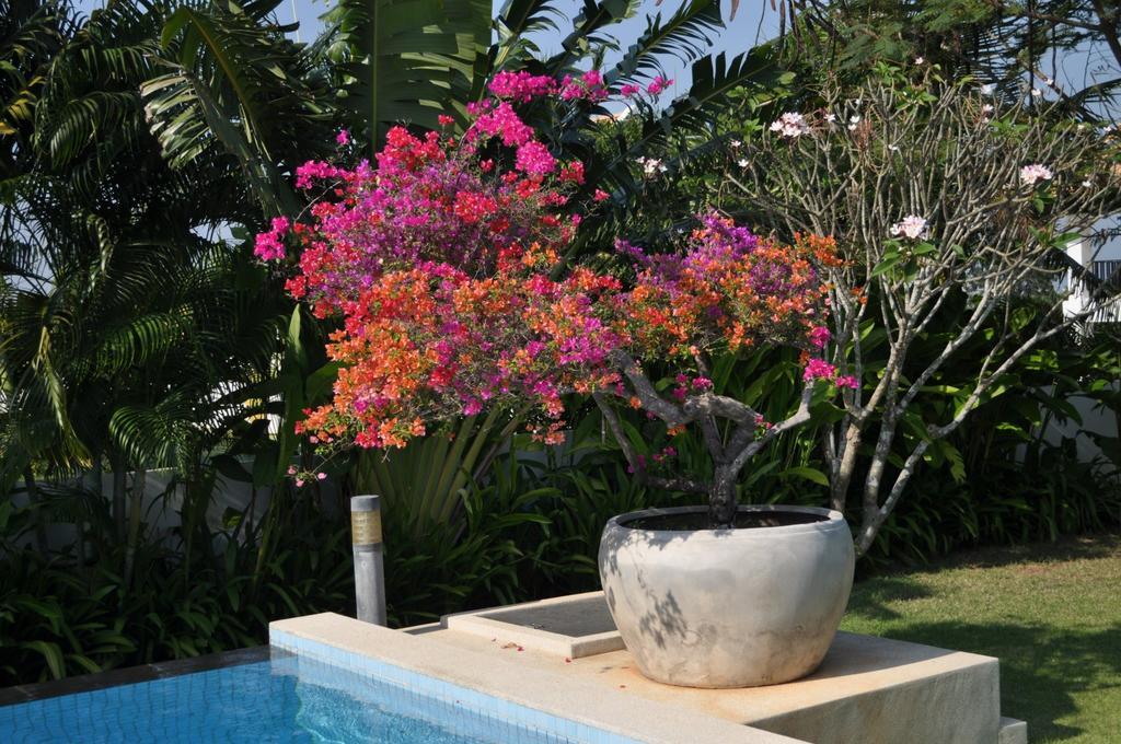 Balinese Villa With Private Pool HHQ Exterior foto